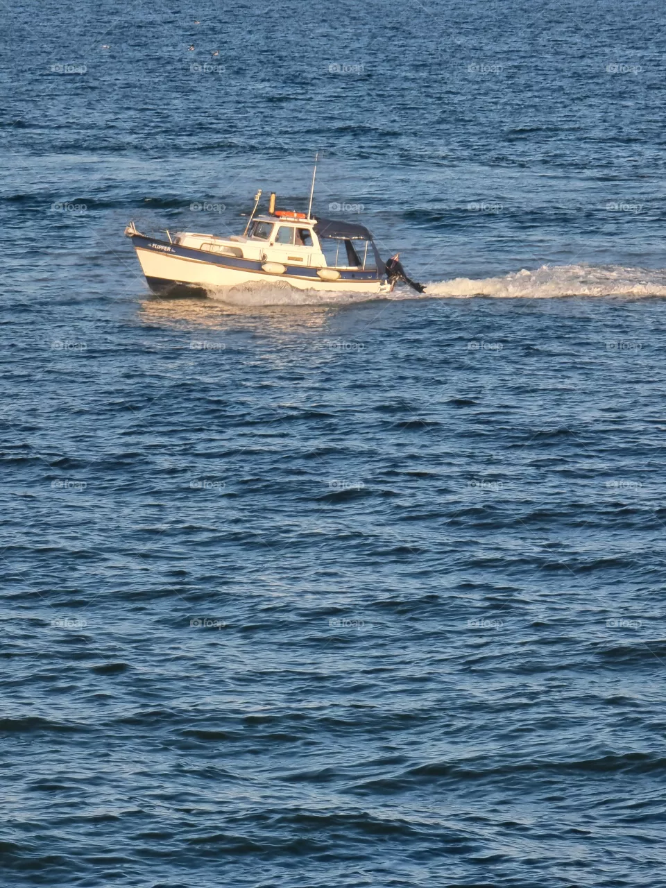 boat