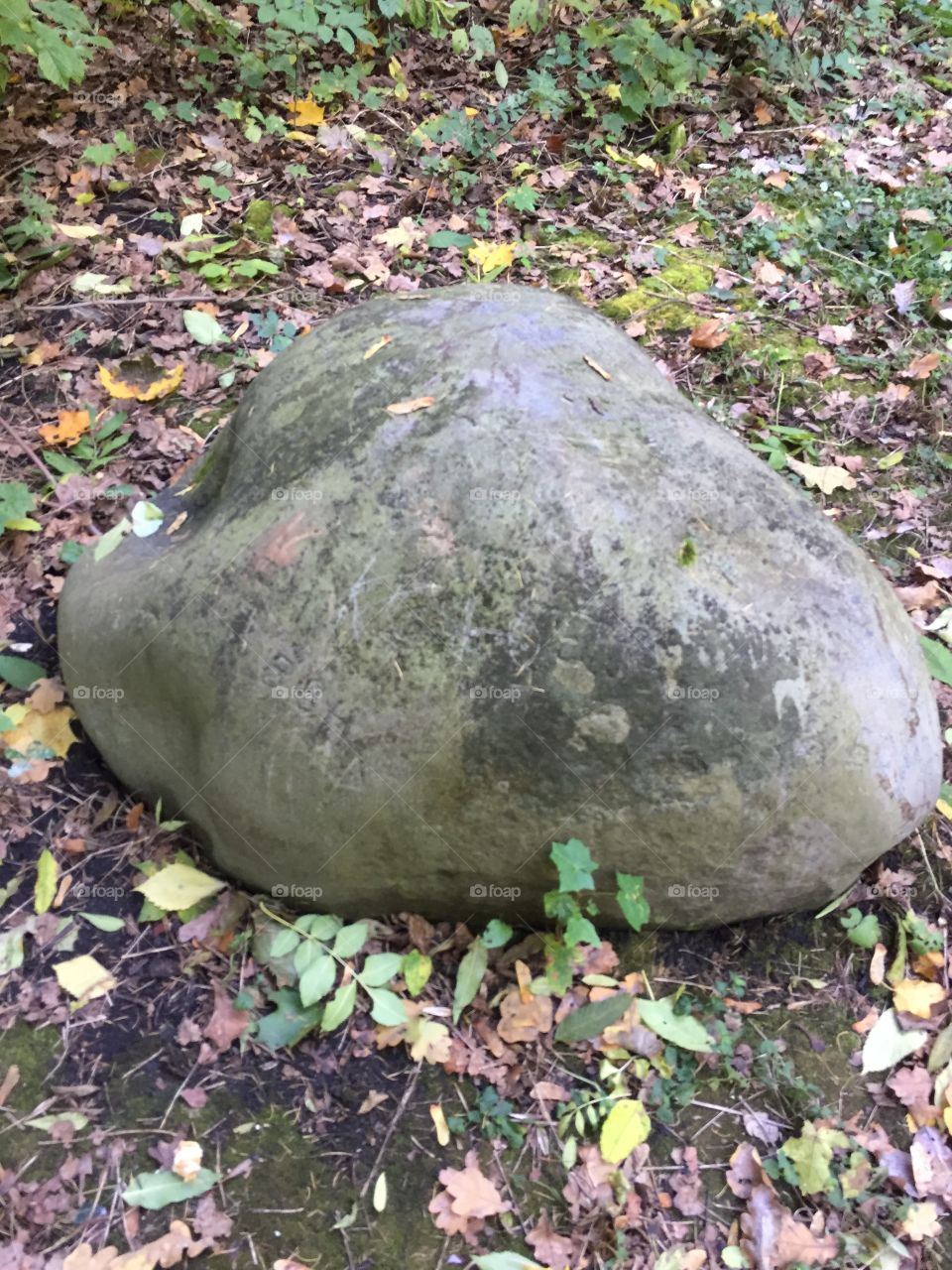 Very big stone 