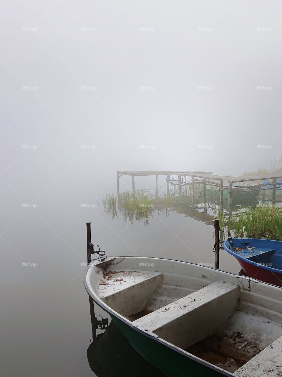 Morning fog on the lake