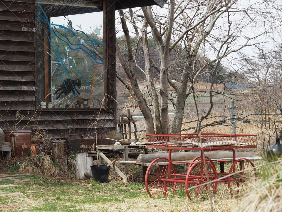 Abandoned, Wood, Wagon, Wooden, No Person