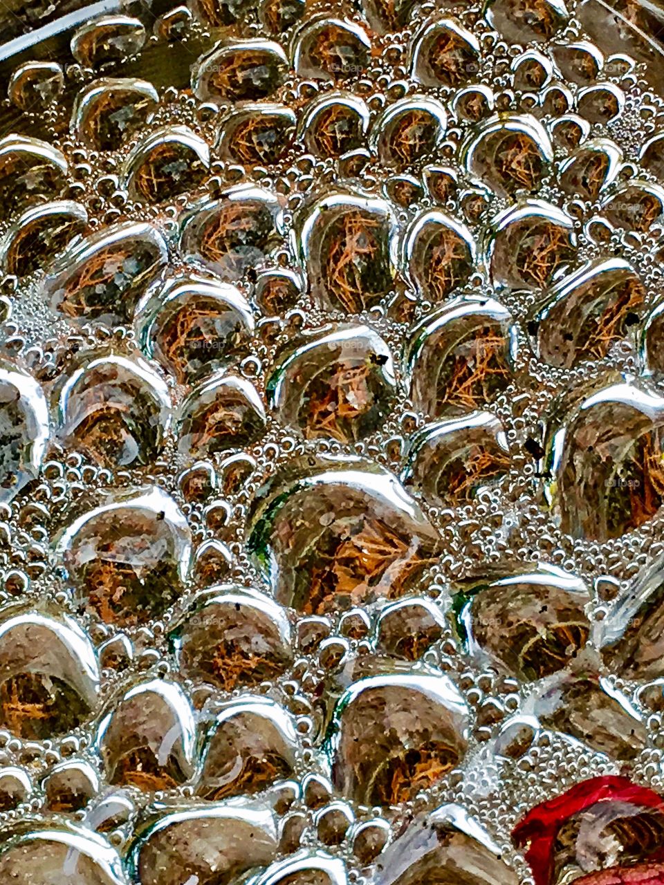 Bubbles Captured