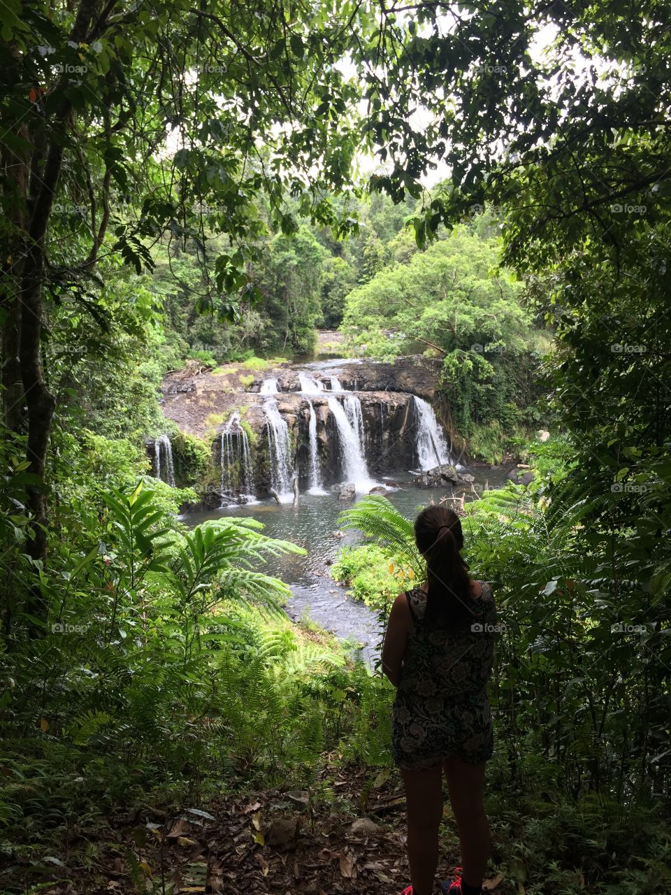 North Queensland is littered with many impressive waterfalls. Wooroonooran has 3 of my favourites