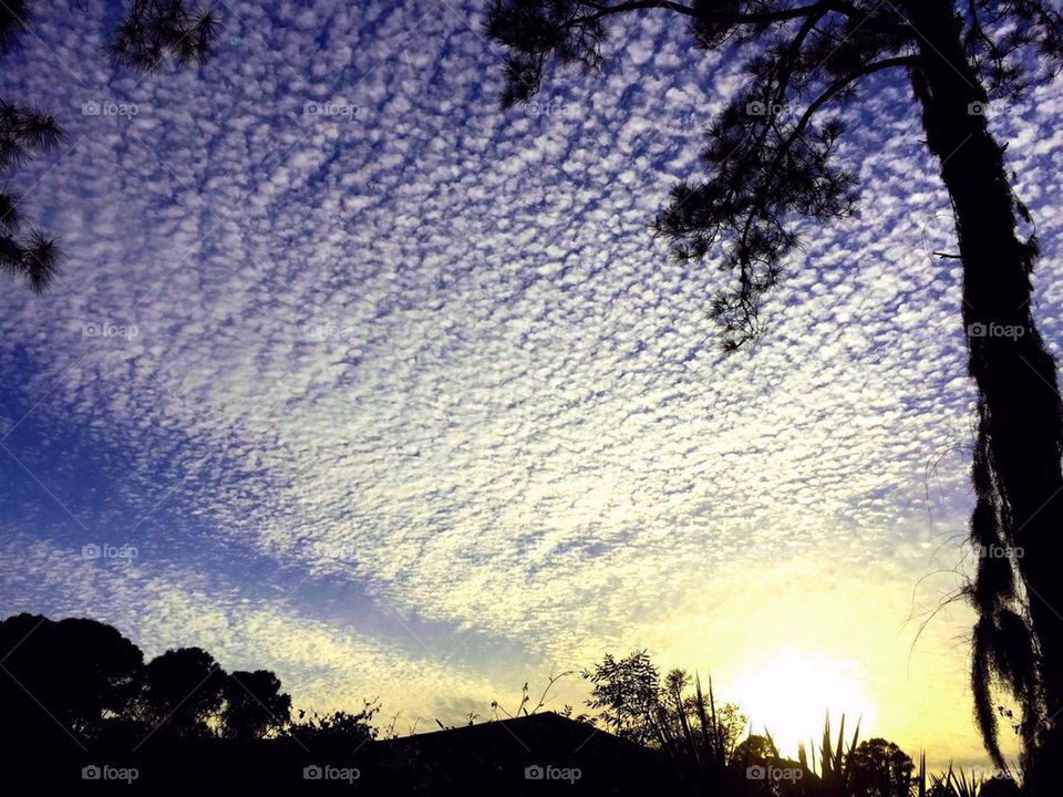 Spectacular clouds and sun