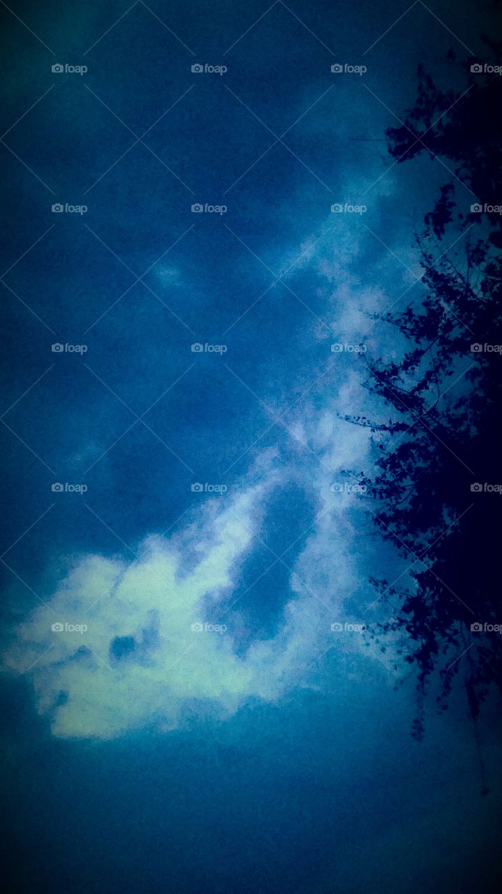 True Blue Scene to me.....
A  Tree ......Dark Silhouette...... 
Amid Dark Blue Clouds 
With Light Blue Too.   
I even see a few faces coming thru
I guess this picture  is what ever
You think or feel it is...
 For  YOU .... 😊