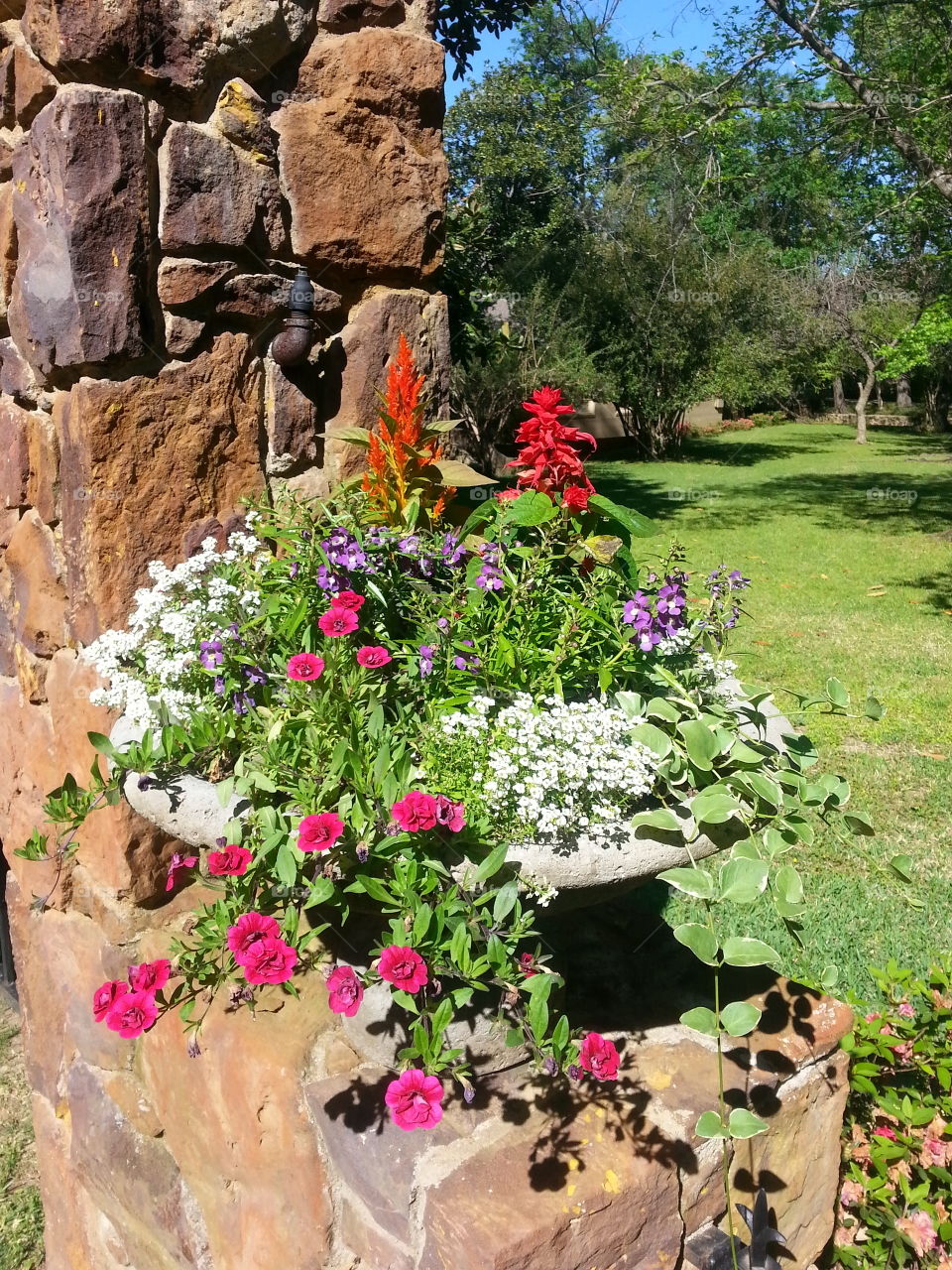 flowers on a rock gateway