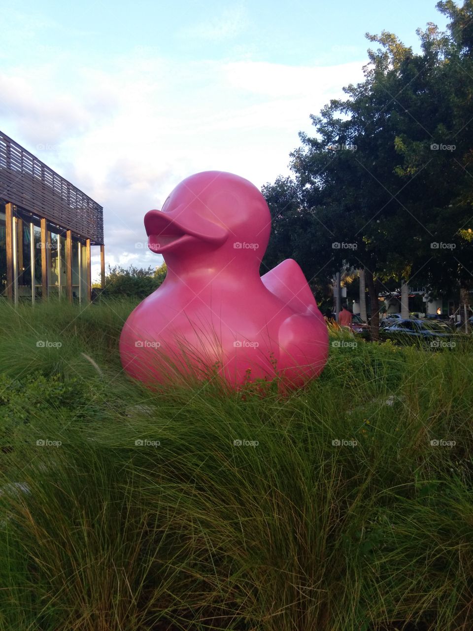 Pink Ducky