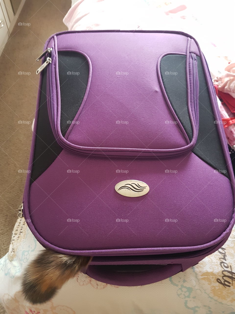 ready to go in holliday :)