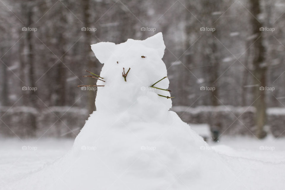 Snowcat 