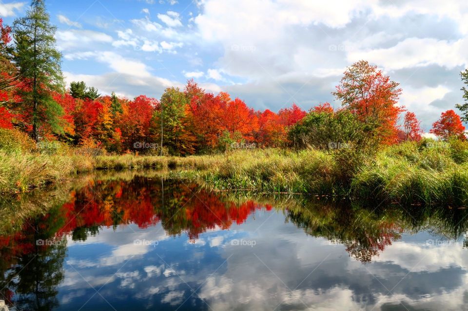 Fall colors by  a pond 