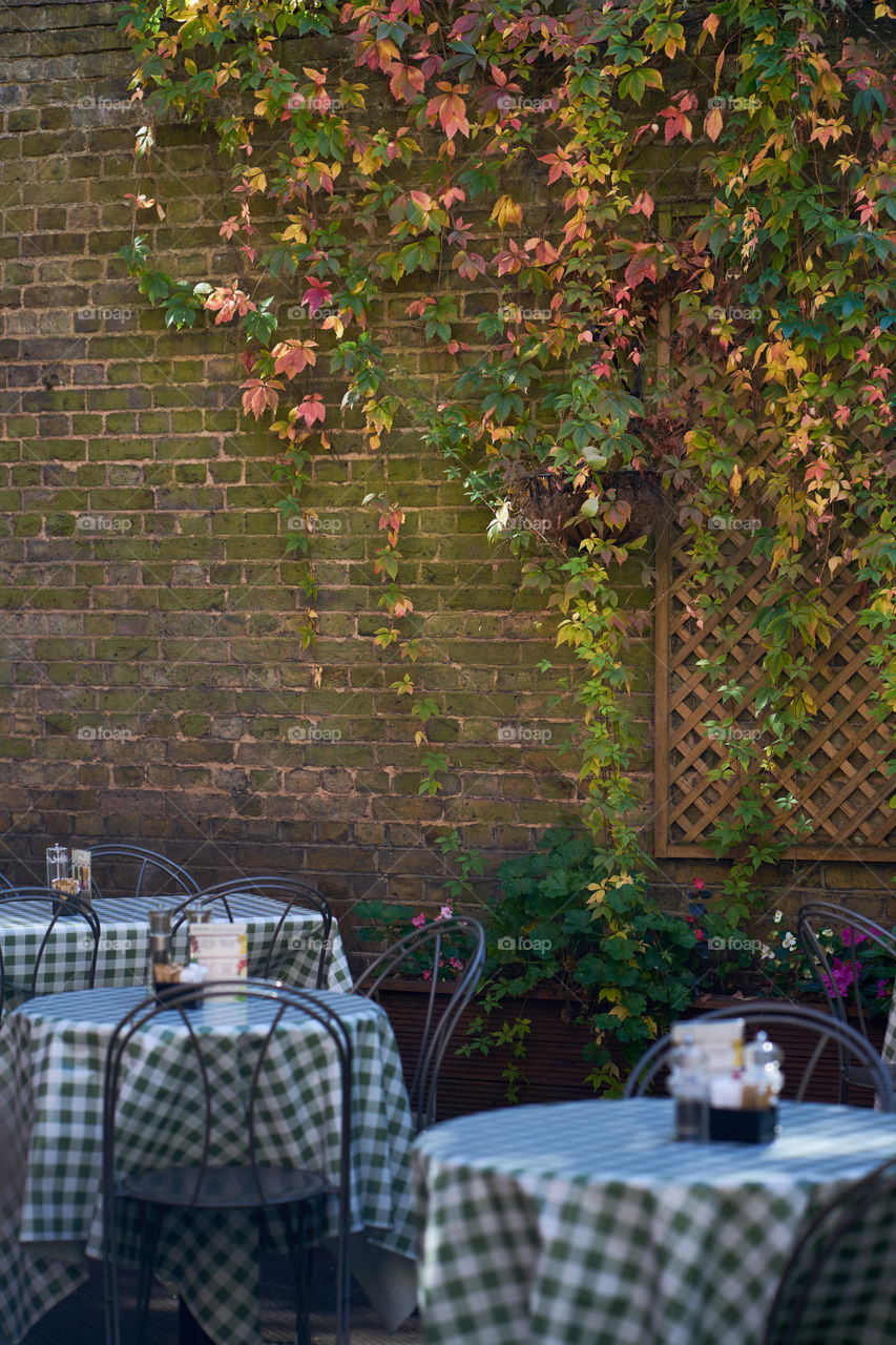 Local cafe in Autumn 