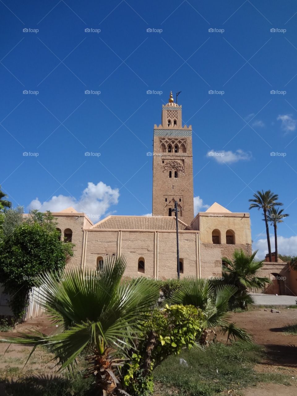 Medina from Marrakech