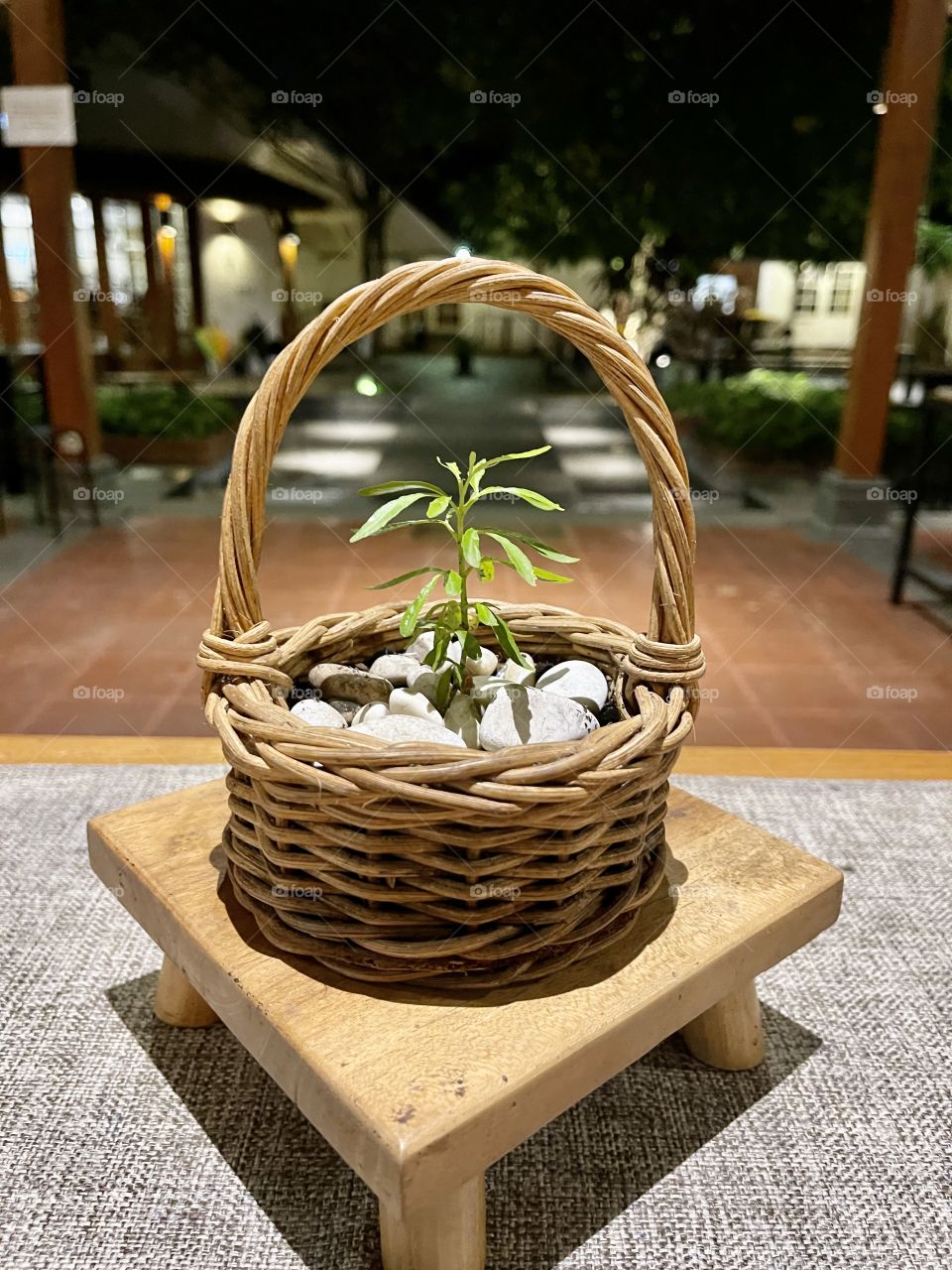 Rattan basket on the top wooden table, with a nice plant in it