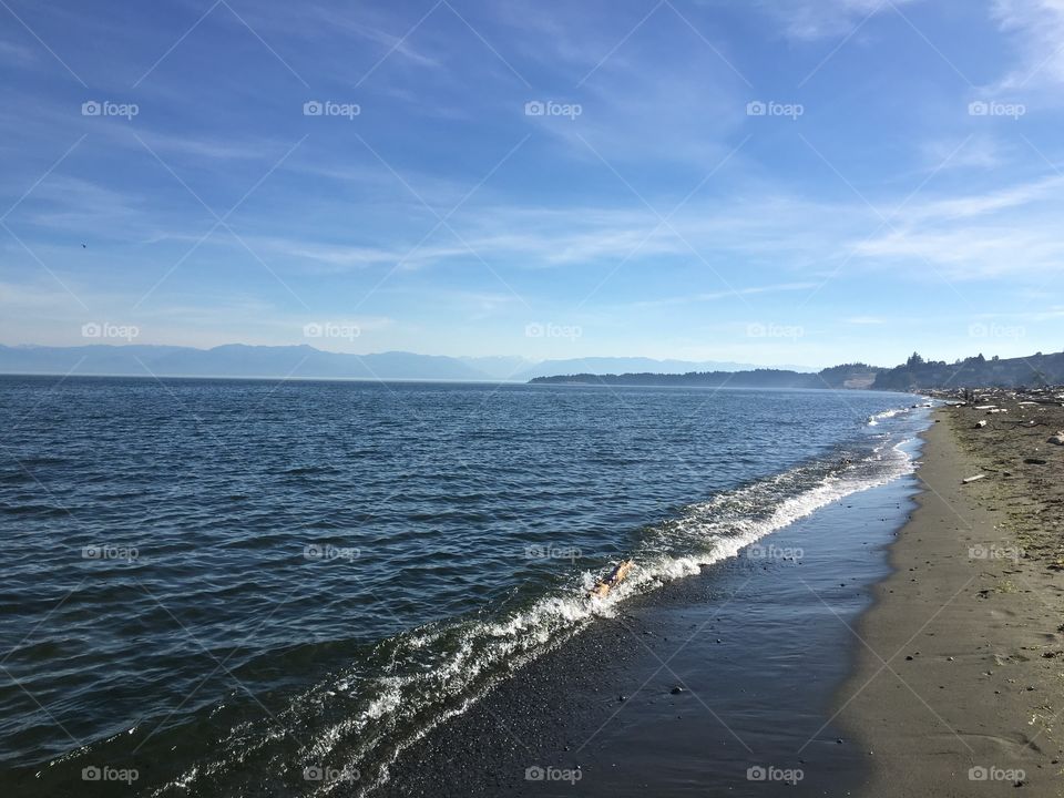 Scenic view of beach against sky