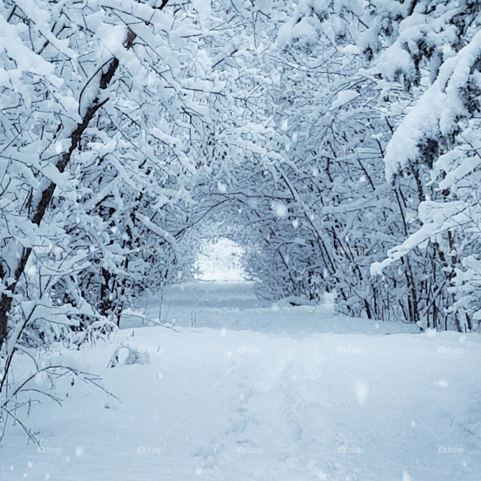 Snow tunnel