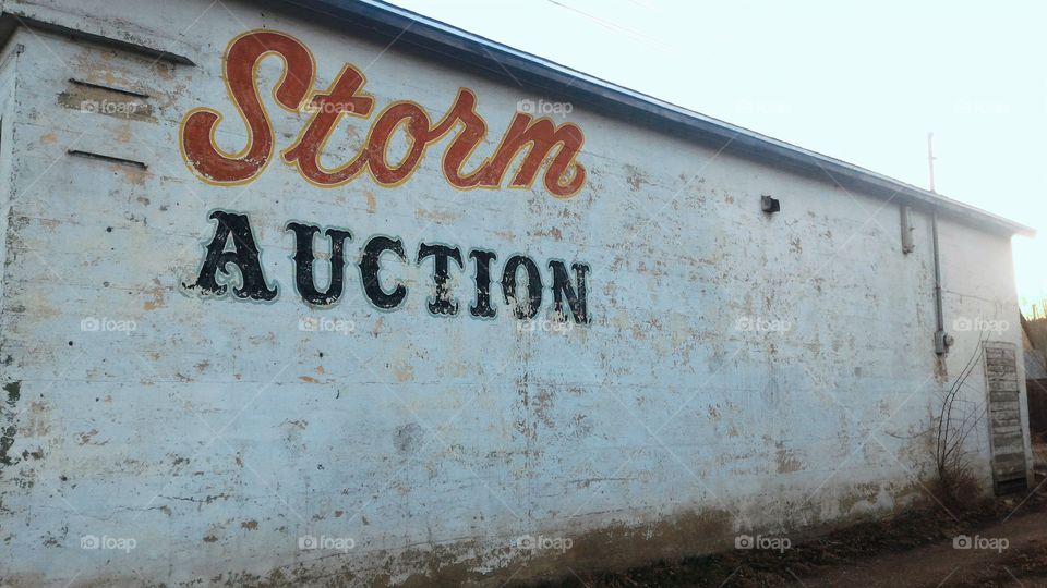 Storm Auction