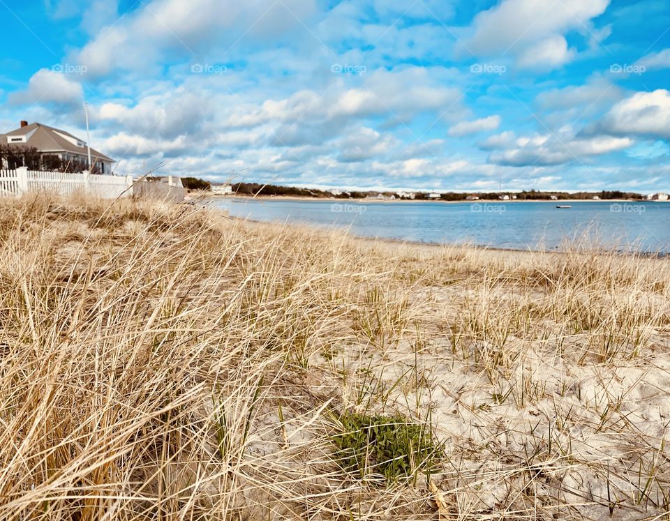 Lewis Bay, Cape Cod