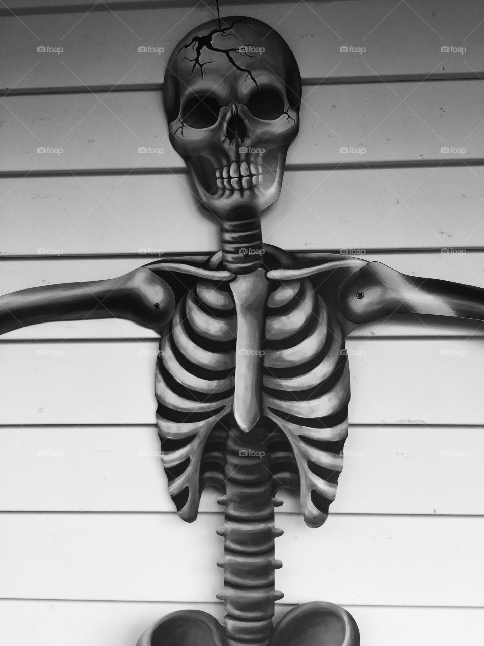 Skeleton Halloween decoration 