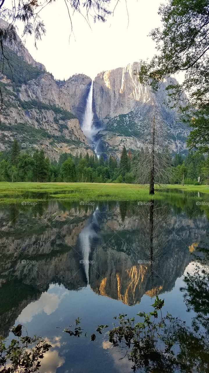 Yosemite National Park