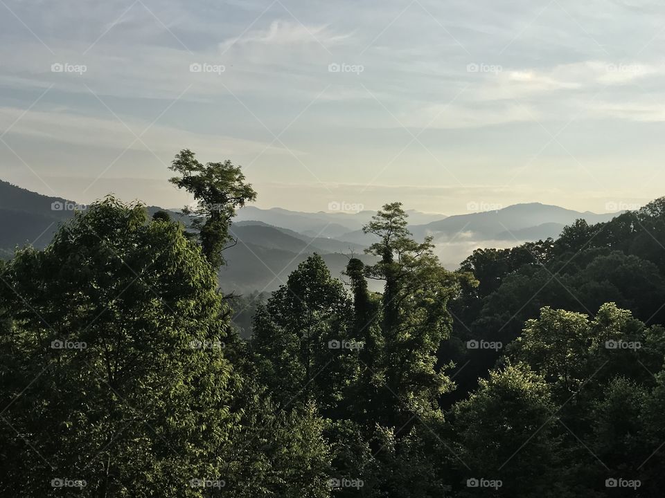 Morning Mist in the Mountains