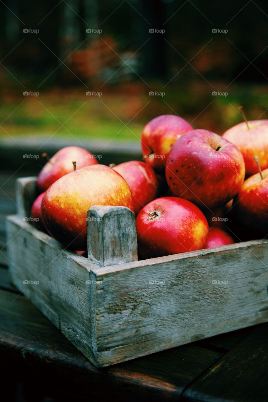 Close-up of red apples