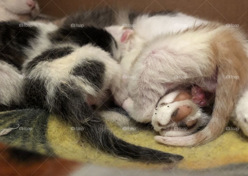 Yeeeeah! Welcome to the world - finaly 😅