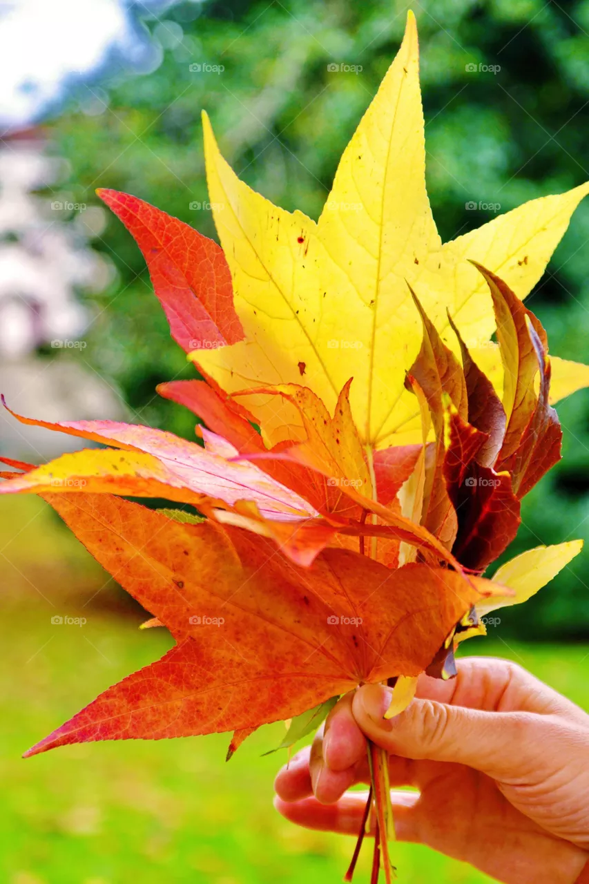 autunno