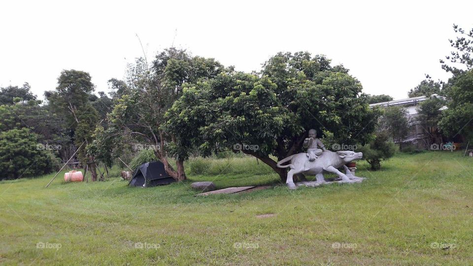 a clean camp site and beautiful view