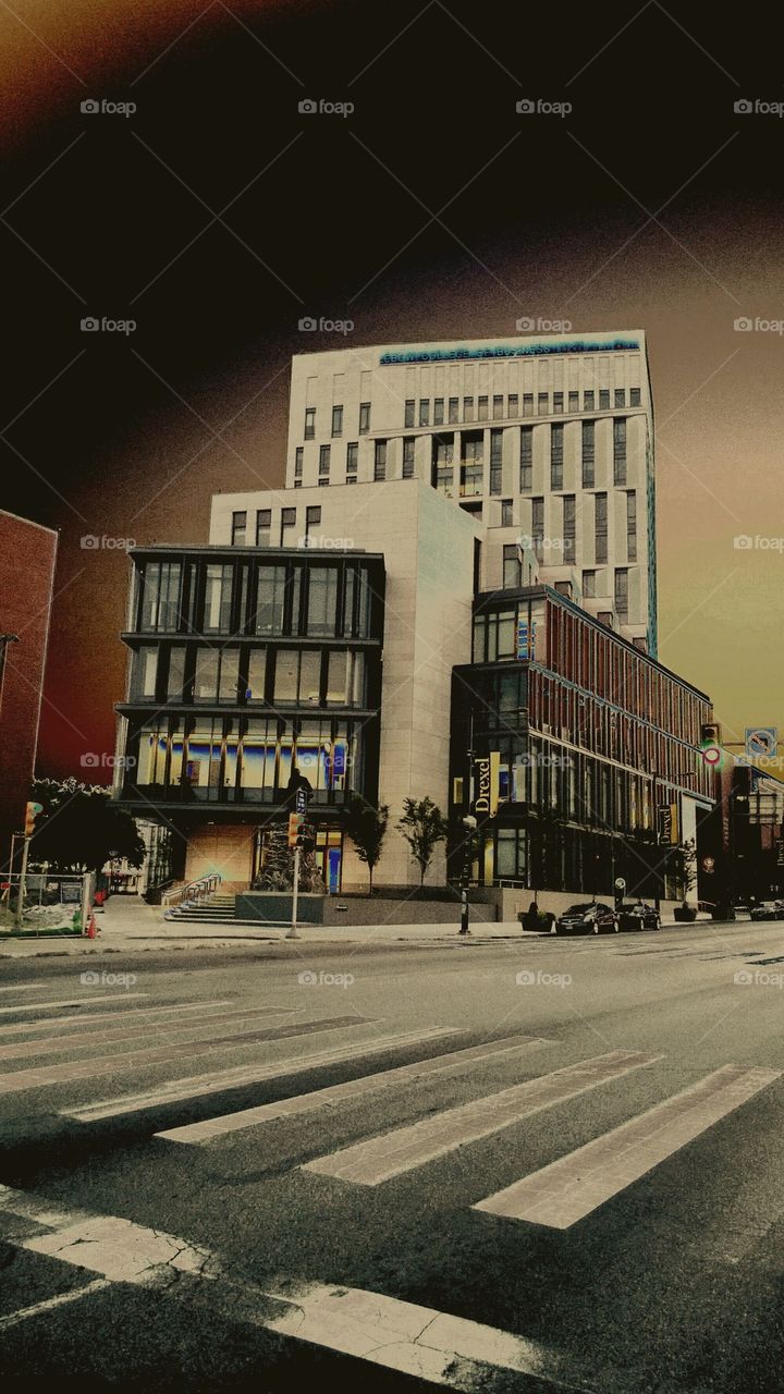 lebow business (psychedelic)