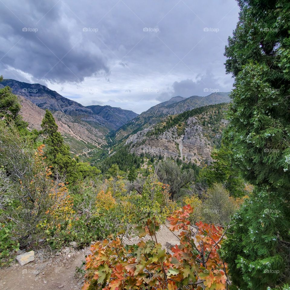 Cloudy mountain hike.