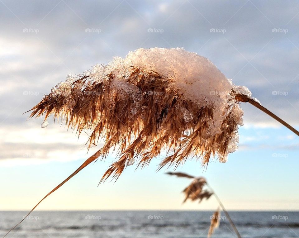 Winter season ❄️ Sea 💙 Sky💙 Nature ❄️