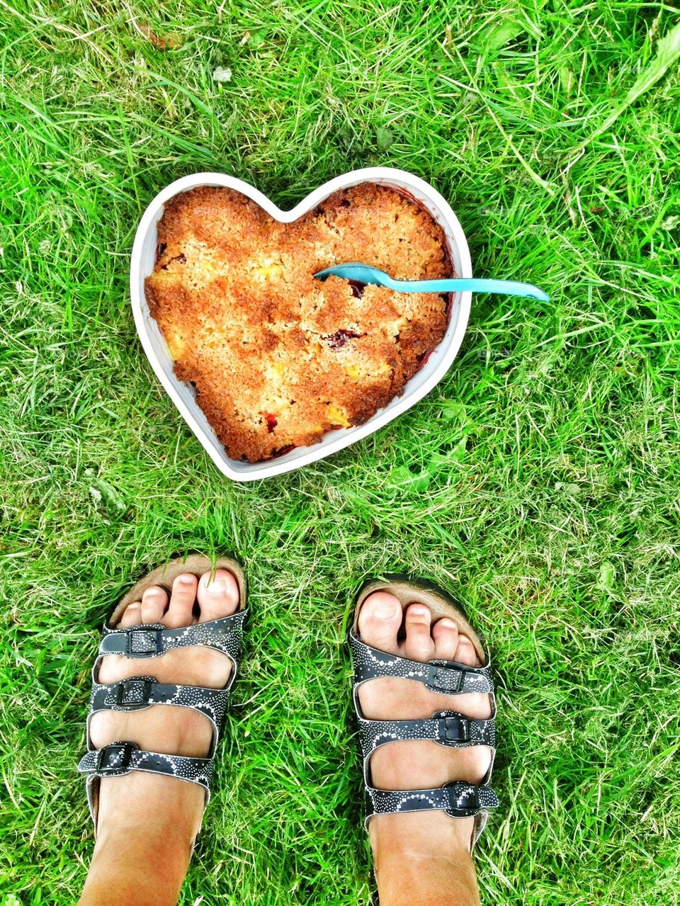 heart pie on a lawn