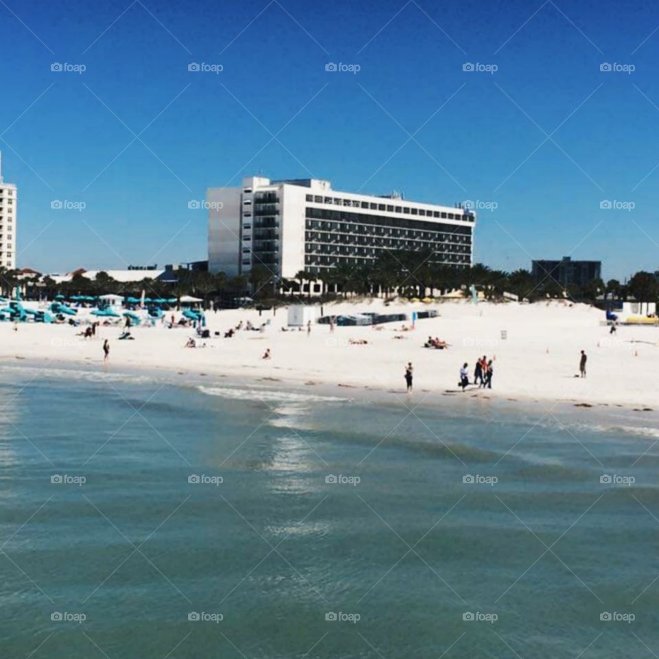 Sea building Clearwater