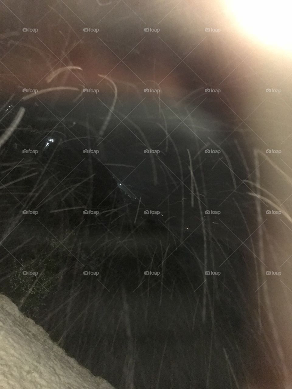 Snow flakes appearing in the night. Snow storm forming in the evening.