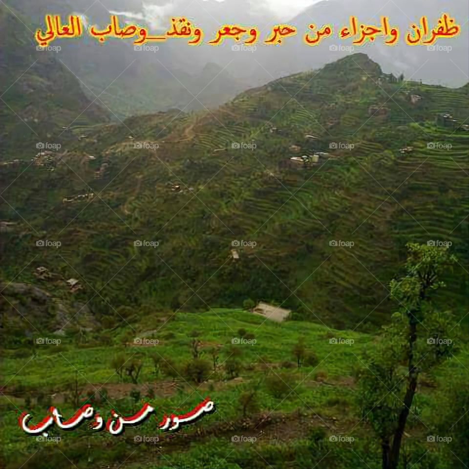 Glory be to God, the magnificent and picturesque view and the natural green trees are a view that is nothing more wonderful than it