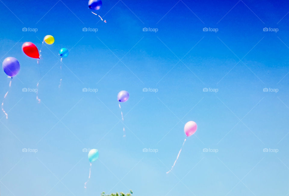 Balloons are raised in the sky
