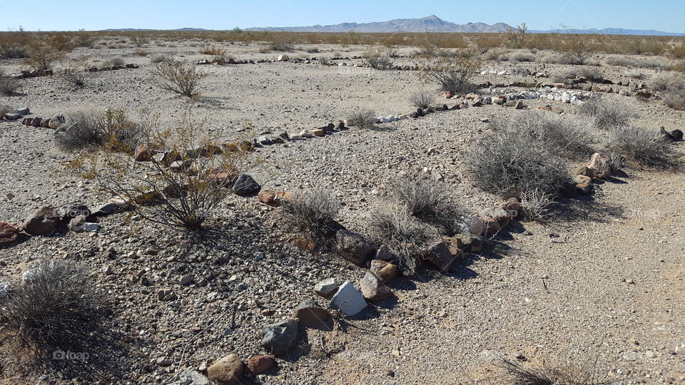 WW II desert training