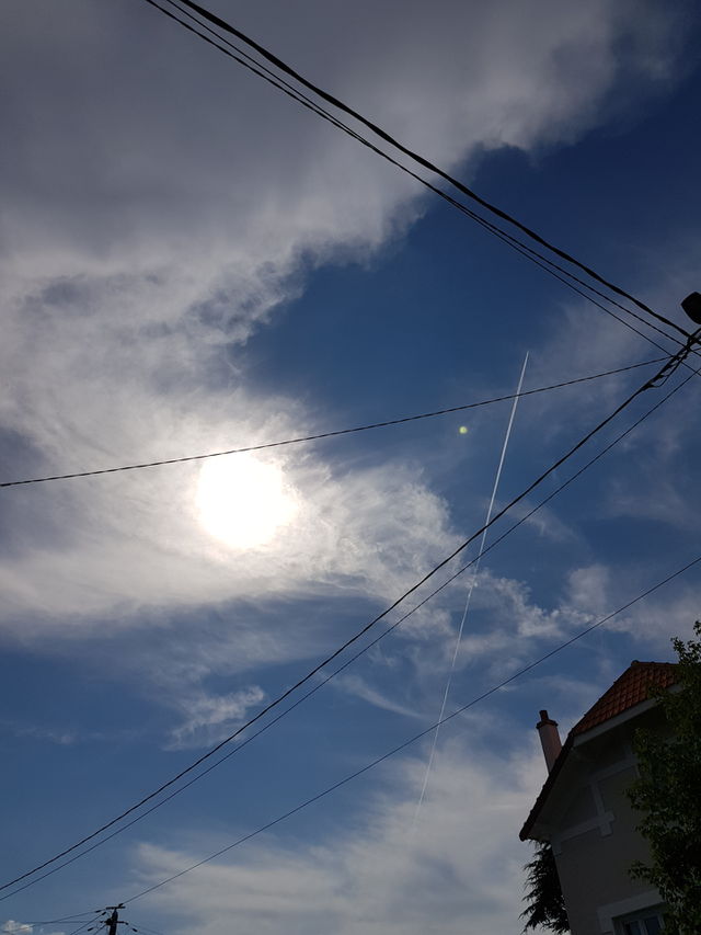 view of the sun above my head