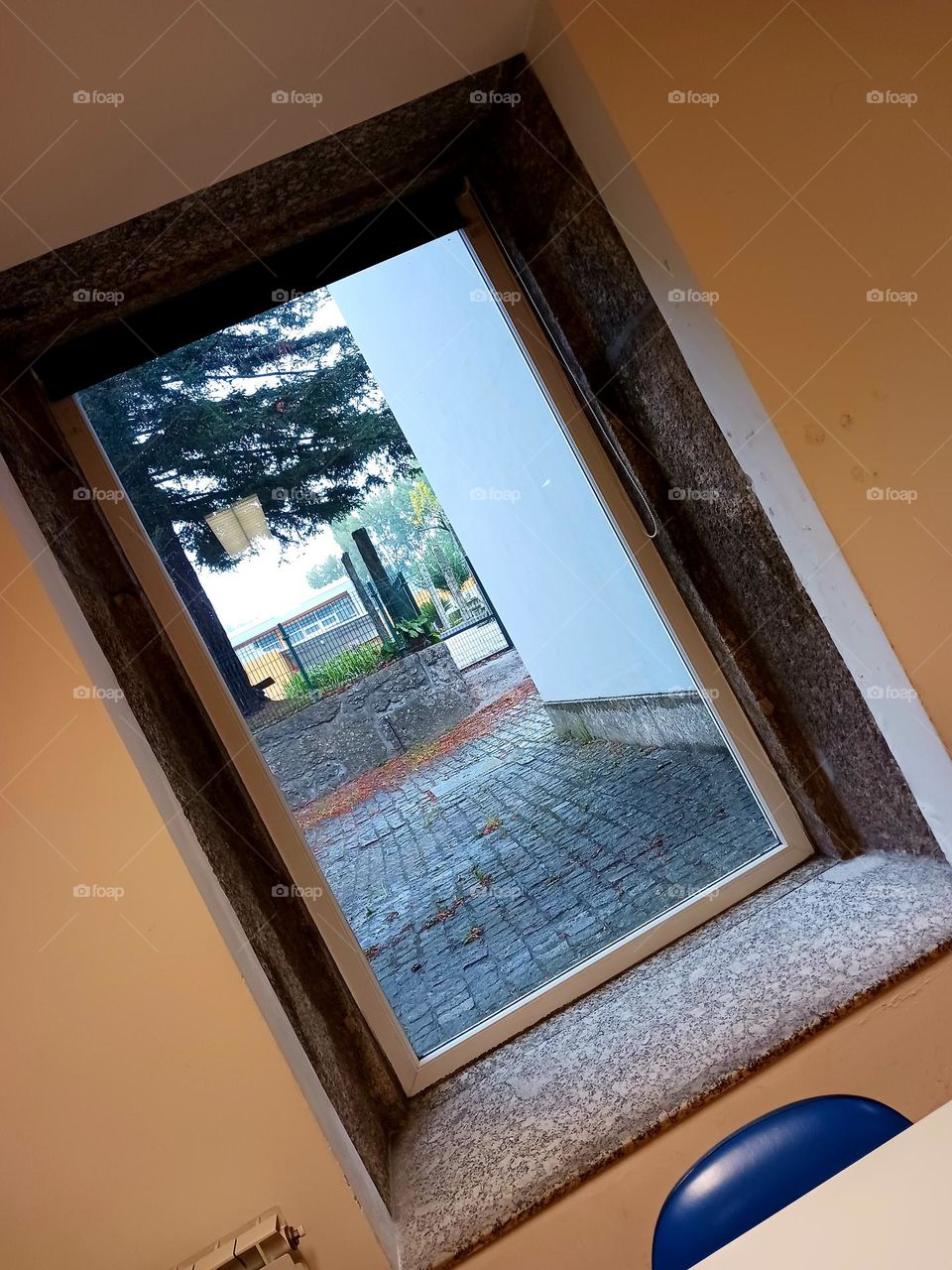 Autumn rain seen through the window