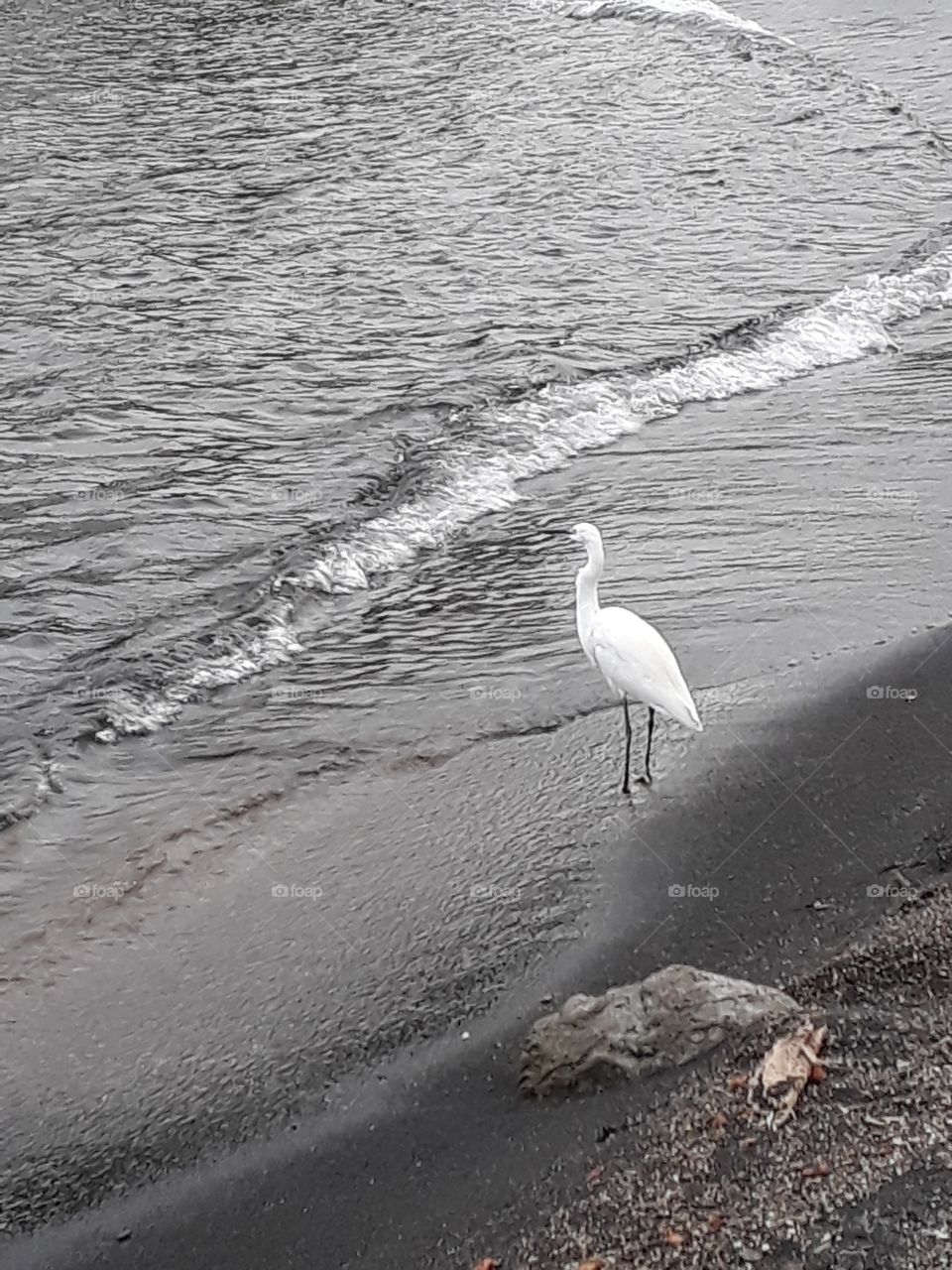 Sunset at Lake Victoria the 3rd Largest Fresh Water Lake in the World