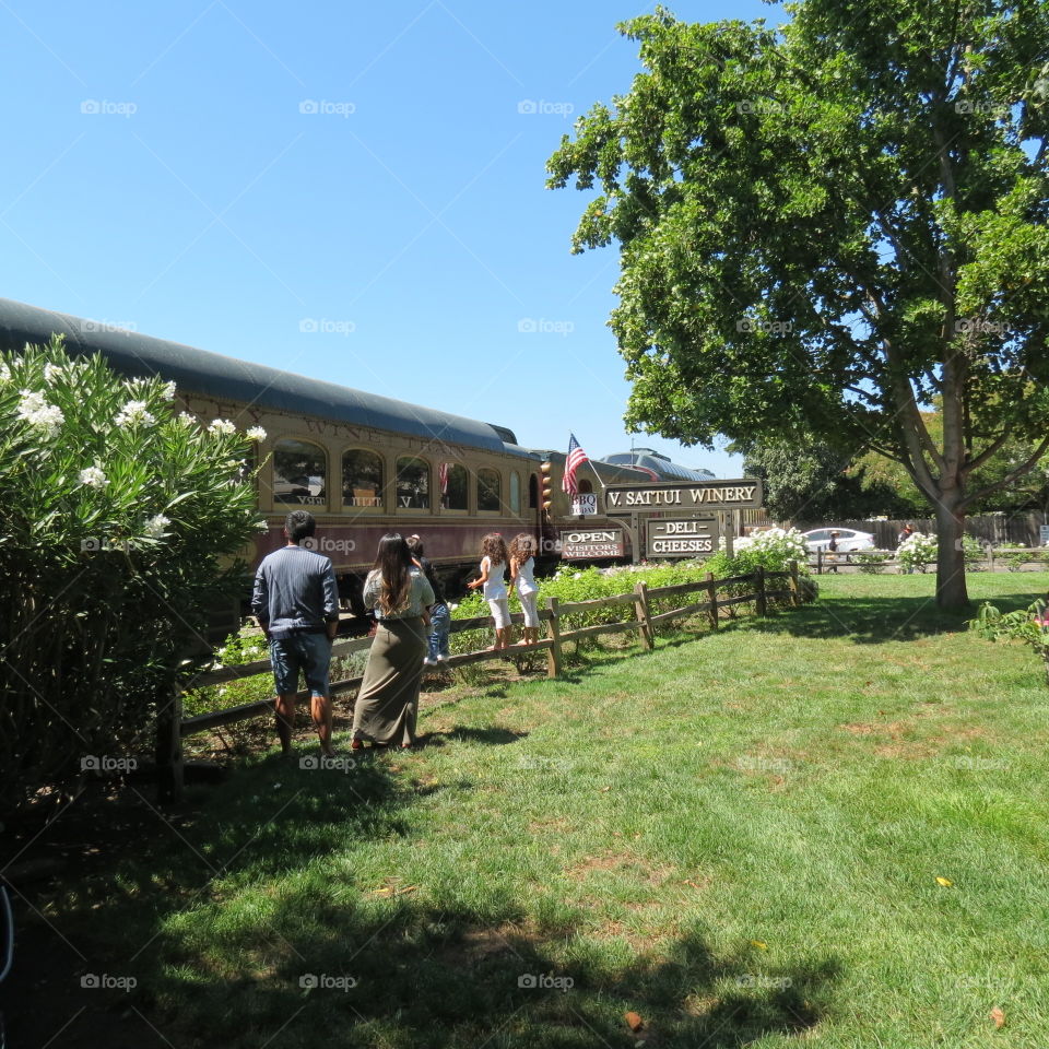 A Picnic with Friends and Family at a Local Napa Winery While Napa Valley Wine Train Passes By
