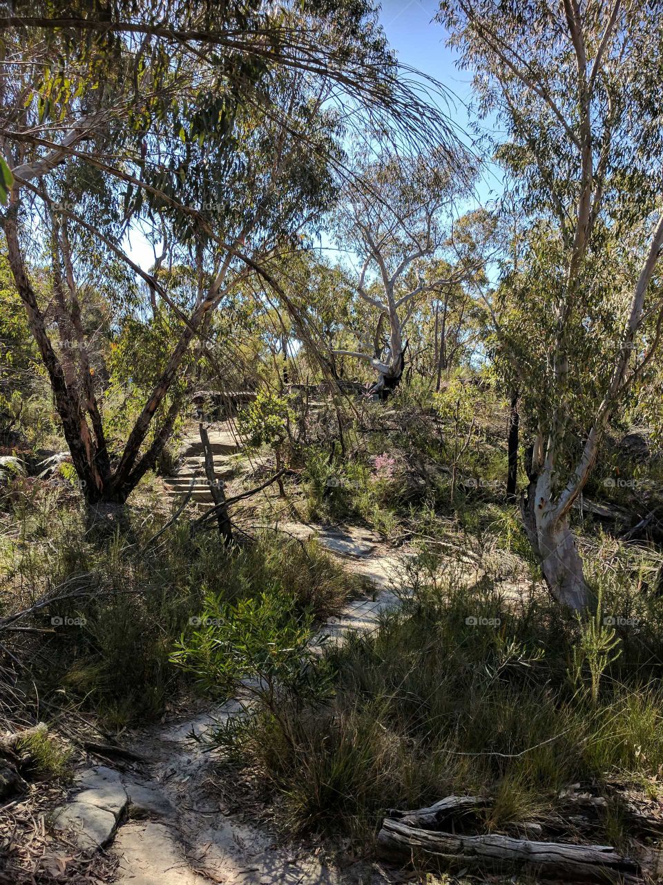 Aussie landscape