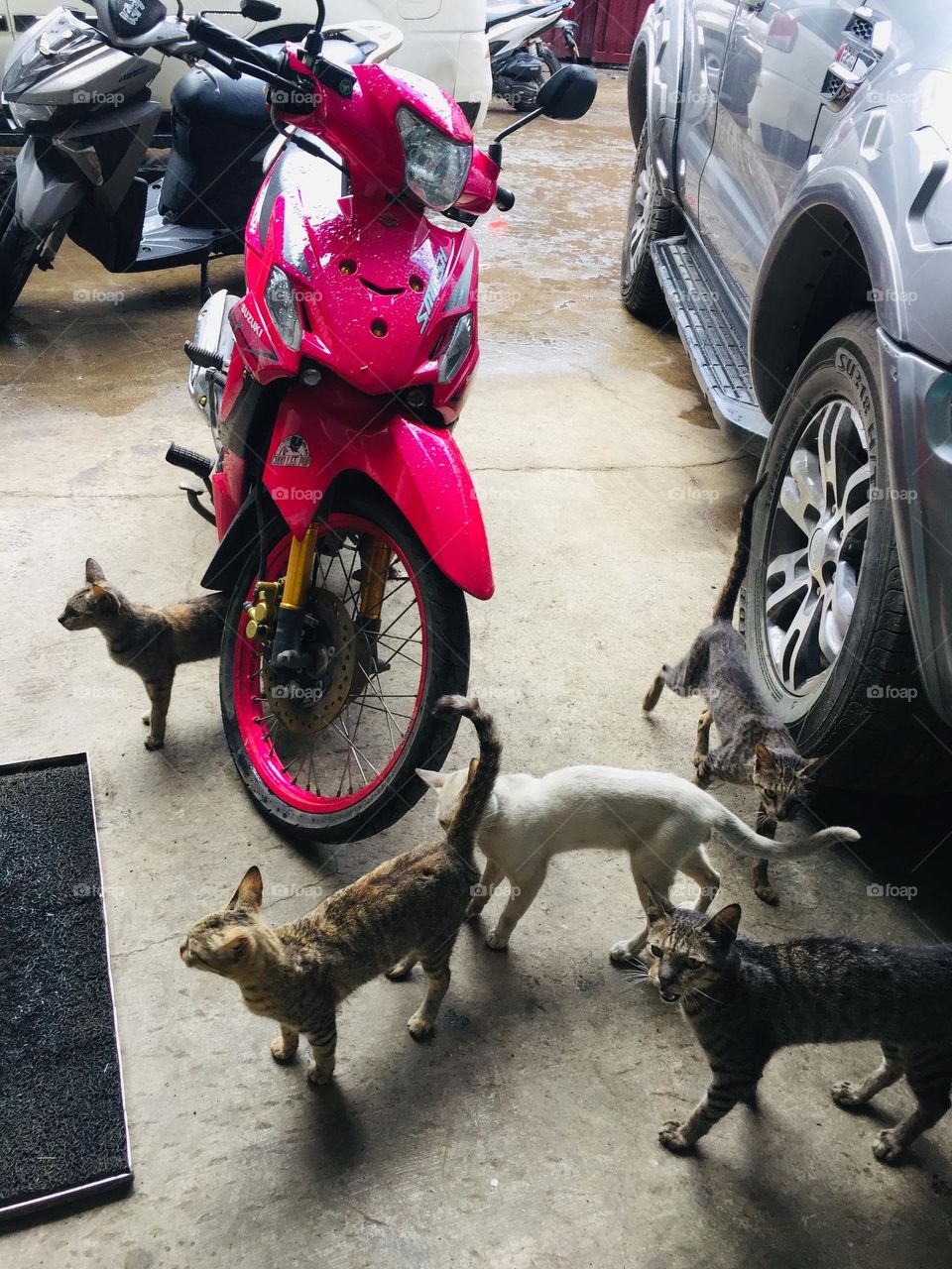 Motorcycle of our colleague (barbie)