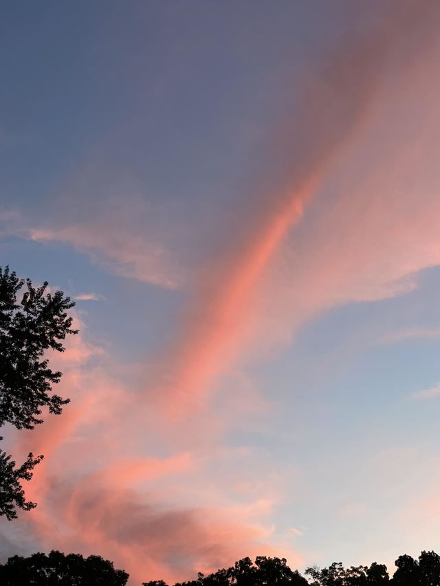 Pink clouds 