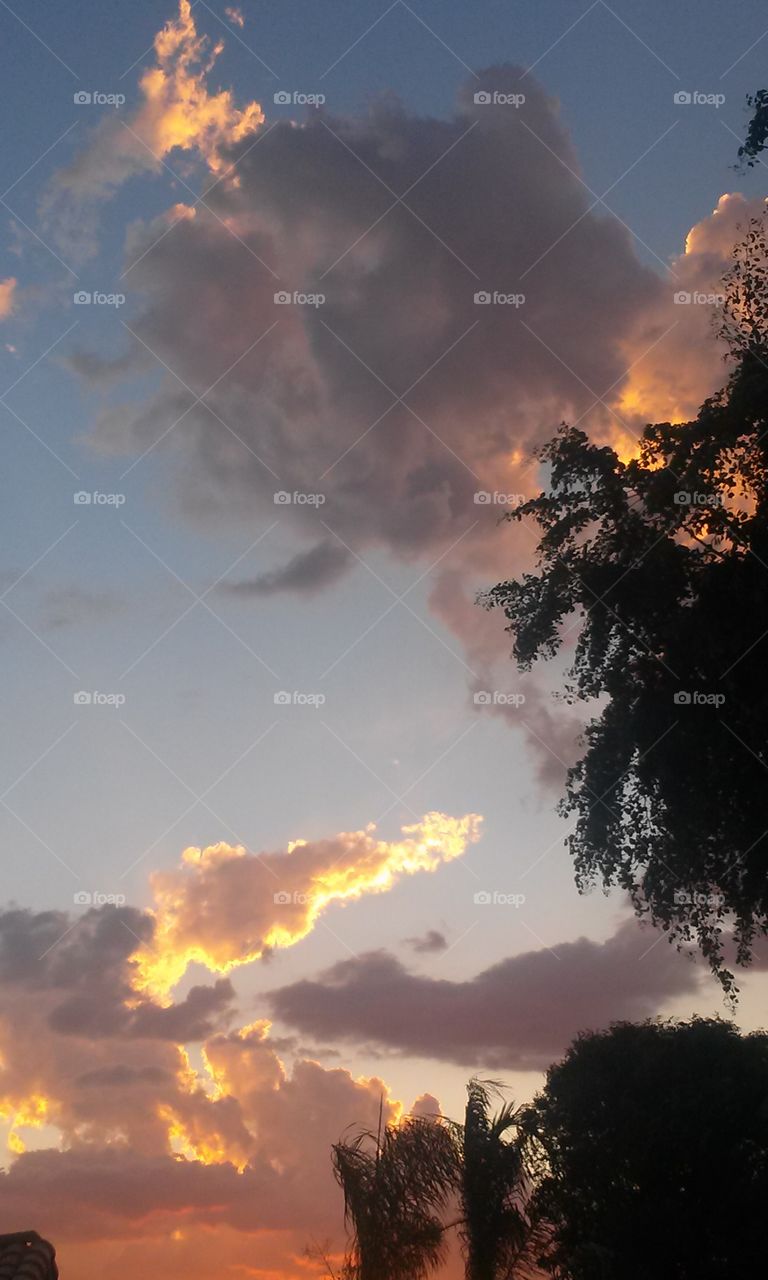 COLORS IN THE SKY 
GIVING RADIANT BRILLIANCE
TOO MY APPRECIATEING EYES
WITH A SILLUATING TREE
OF DESIGNS AND FACES 
ARE WHAT MY EYES SEE
FROM MY BACK YARD 
OF ALL PLACES