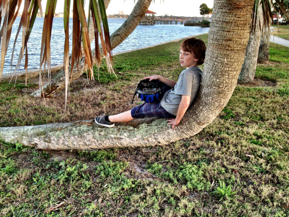 ormond beach tree boy florida by bcpix