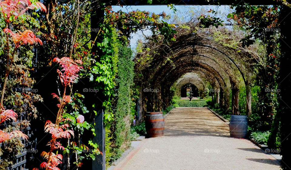 Wonderful flower shed