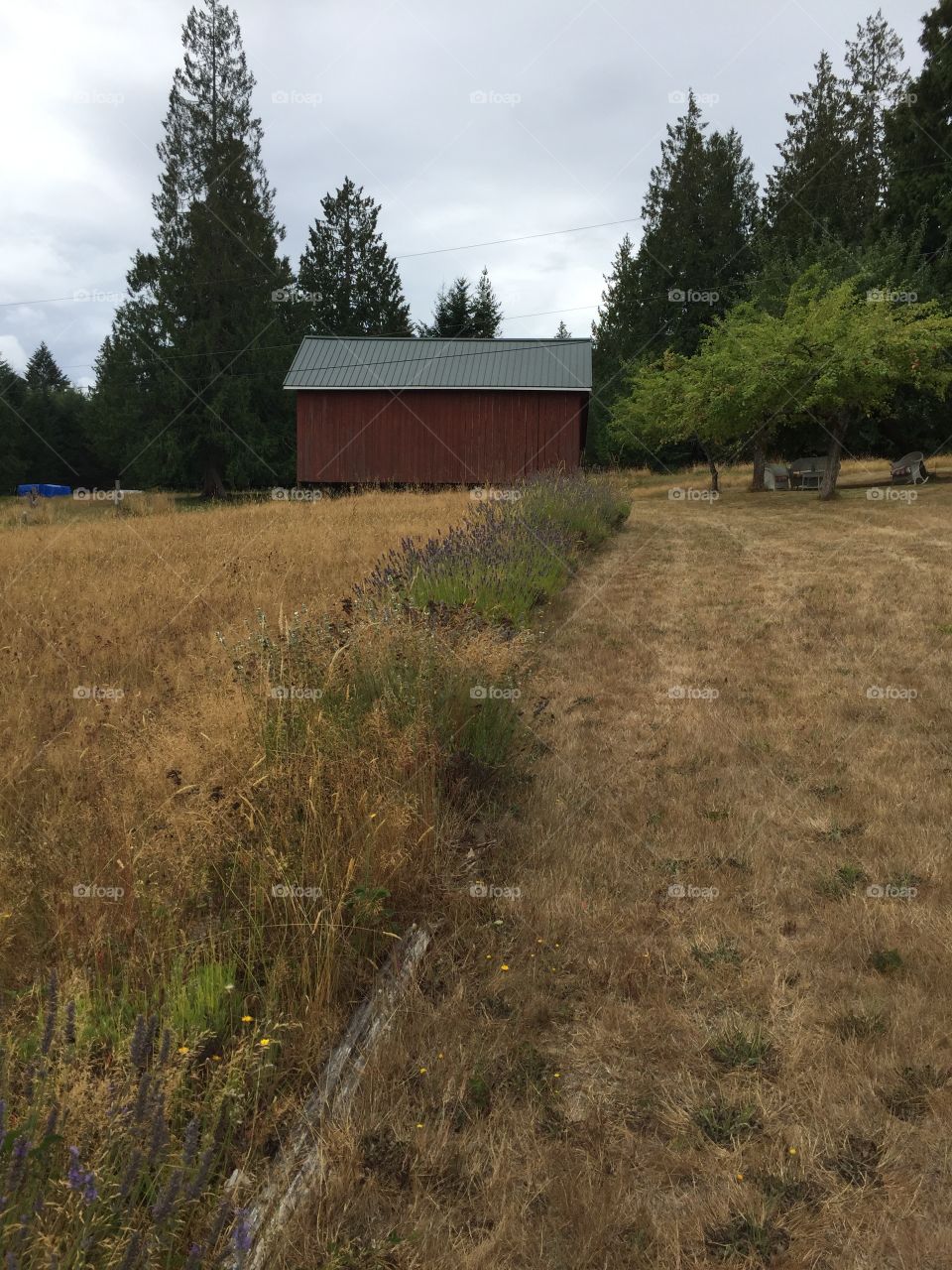 Red barn, Port Orchard, Washington 