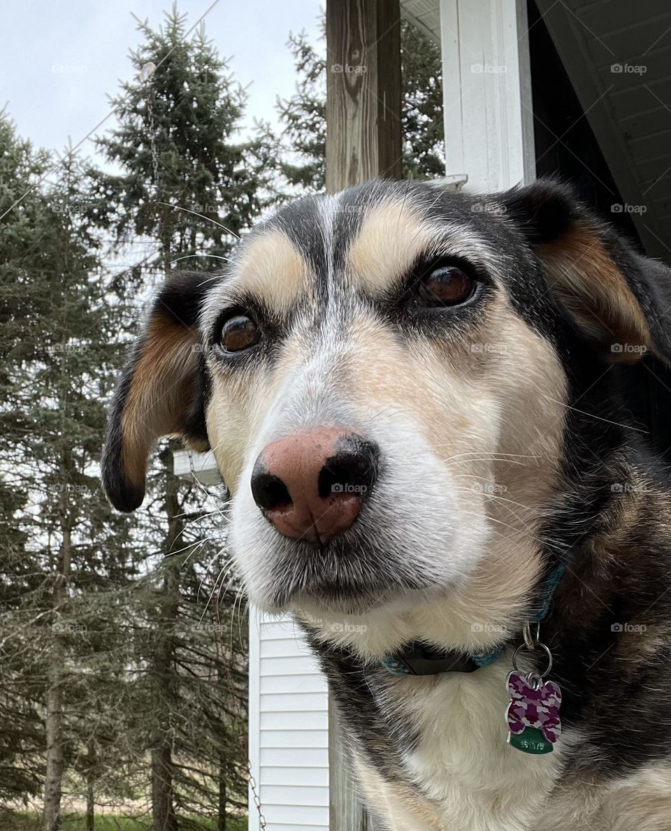 Hello there! Enjoy the outdoors! 