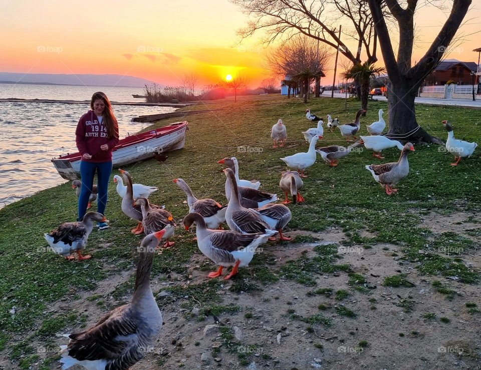 Hanging out with duck friends.