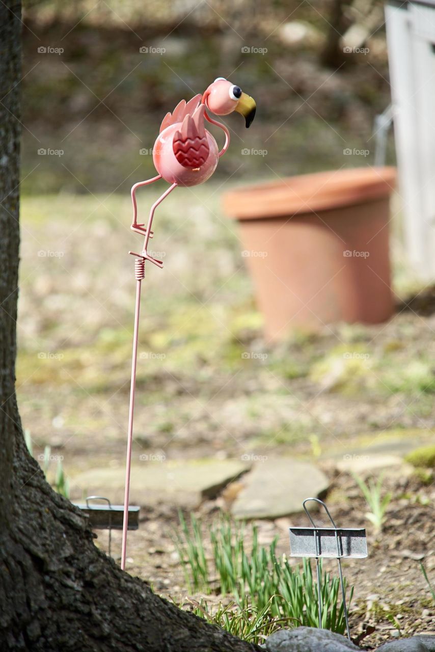 Scraggly pink flamingo on a stick in the garden